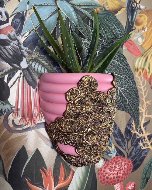 Flora Del Fuego in Bubblegum